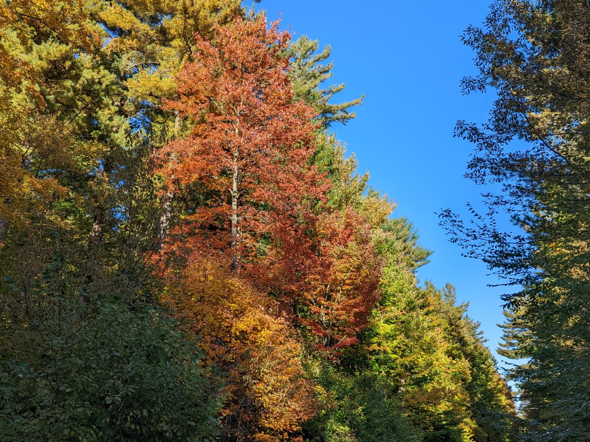 Hell is a Family Vacation in Pigeon&nbsp;Forge